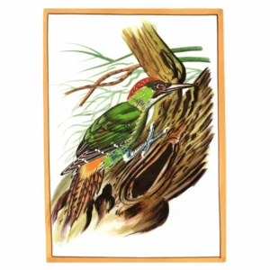 Crimson Conversations