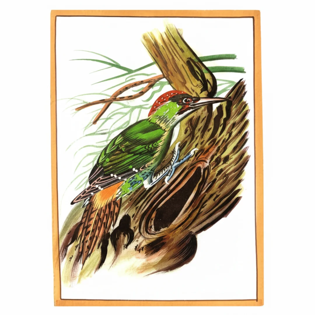 Crimson Conversations