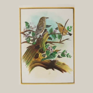 Song of the Hidden Grove