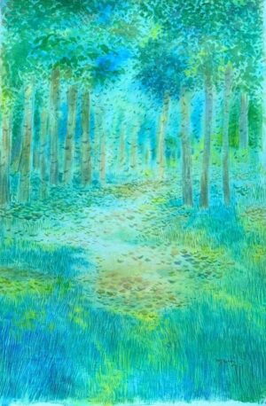 Light Through the Grove